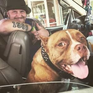 Meet your Posher, Dustin